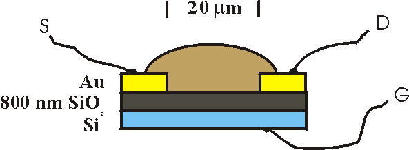 cross-section of an FET