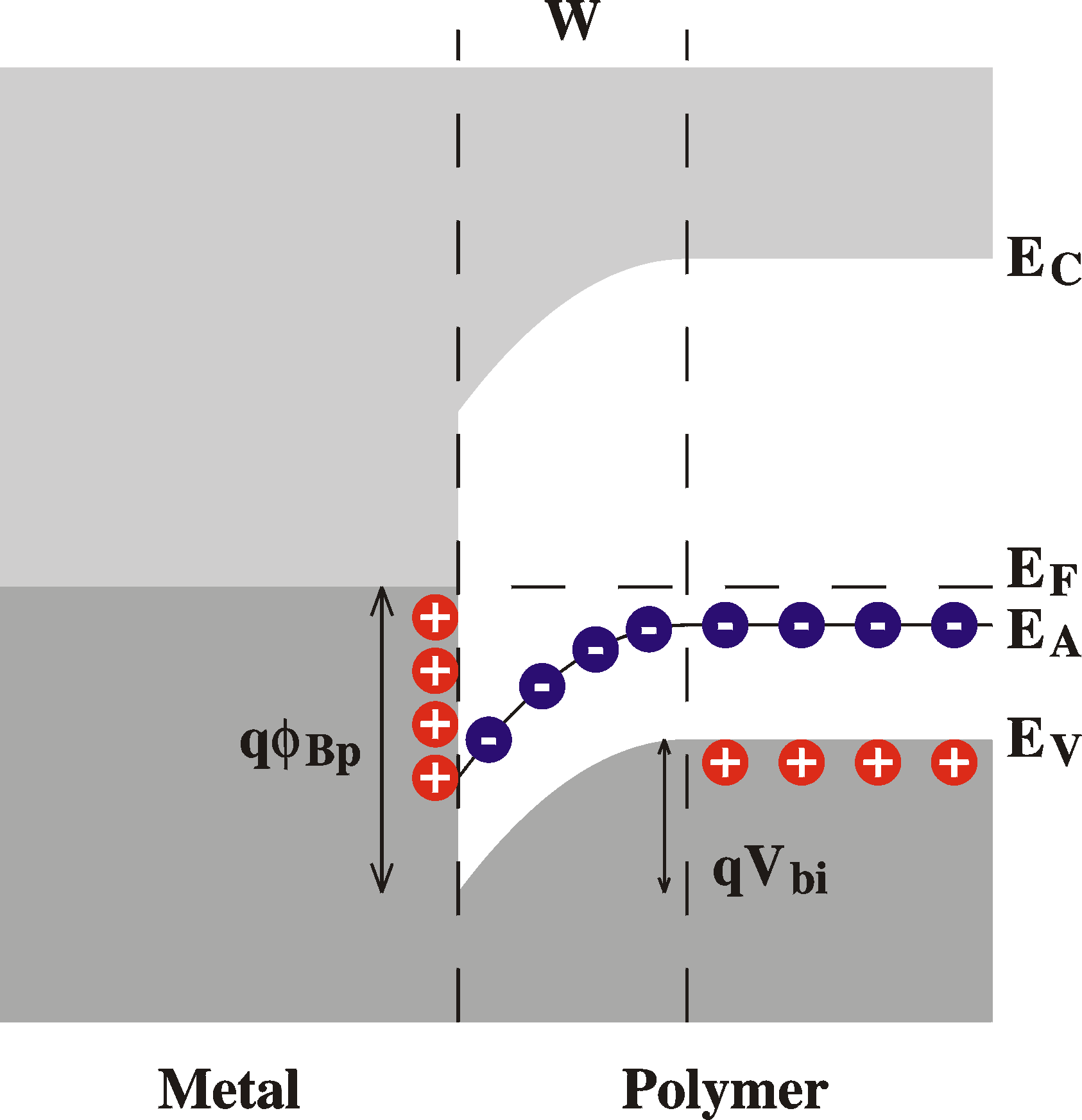 Schottky barrier after
                contact